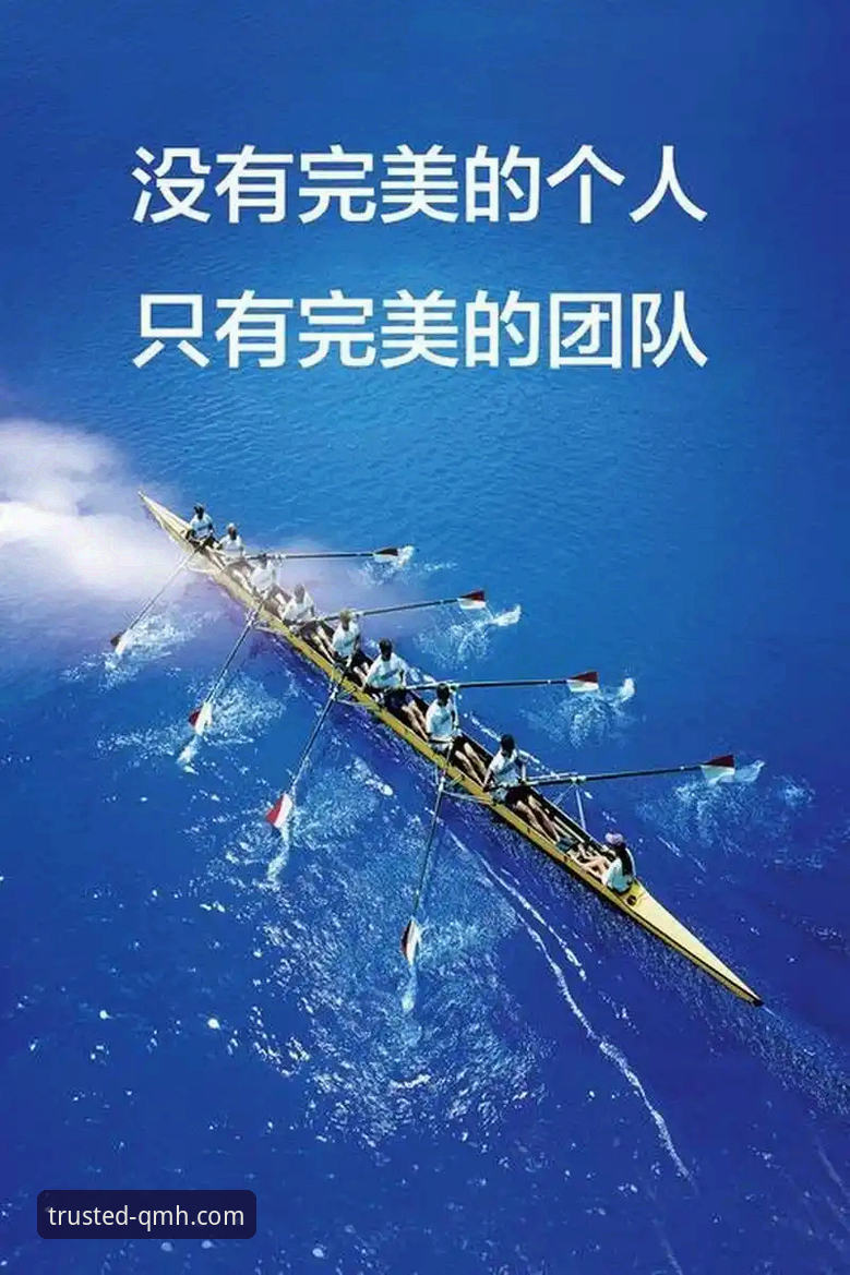 球盟会官方平台最新版下载全面解析：从安装到实战的完整指南